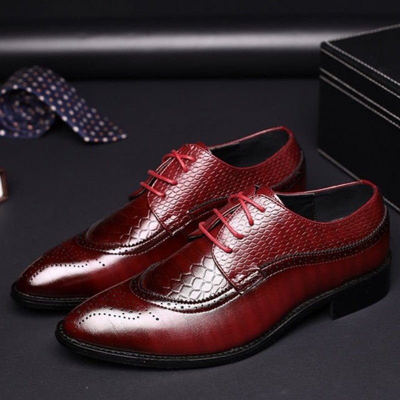 Formele Herenschoenen Alligator Luxe Brogueschoenen Met Veters - Rood