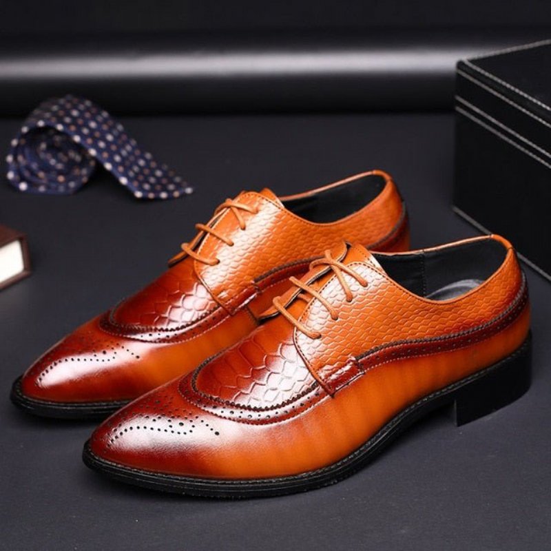 Formele Herenschoenen Alligator Luxe Brogueschoenen Met Veters - Koffie