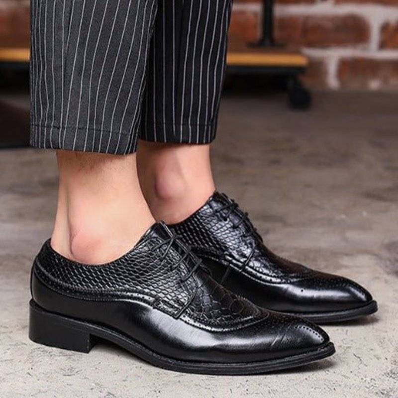 Formele Herenschoenen Alligator Luxe Brogueschoenen Met Veters - Zwart