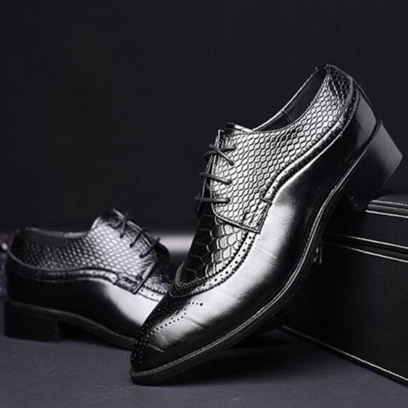 Formele Herenschoenen Alligator Luxe Brogueschoenen Met Veters - Zwart