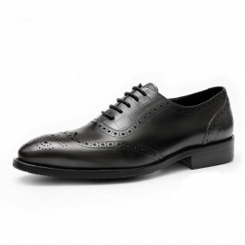 Formele Herenschoenen Brogue-schoenen Met Exotisch Patroon Kant