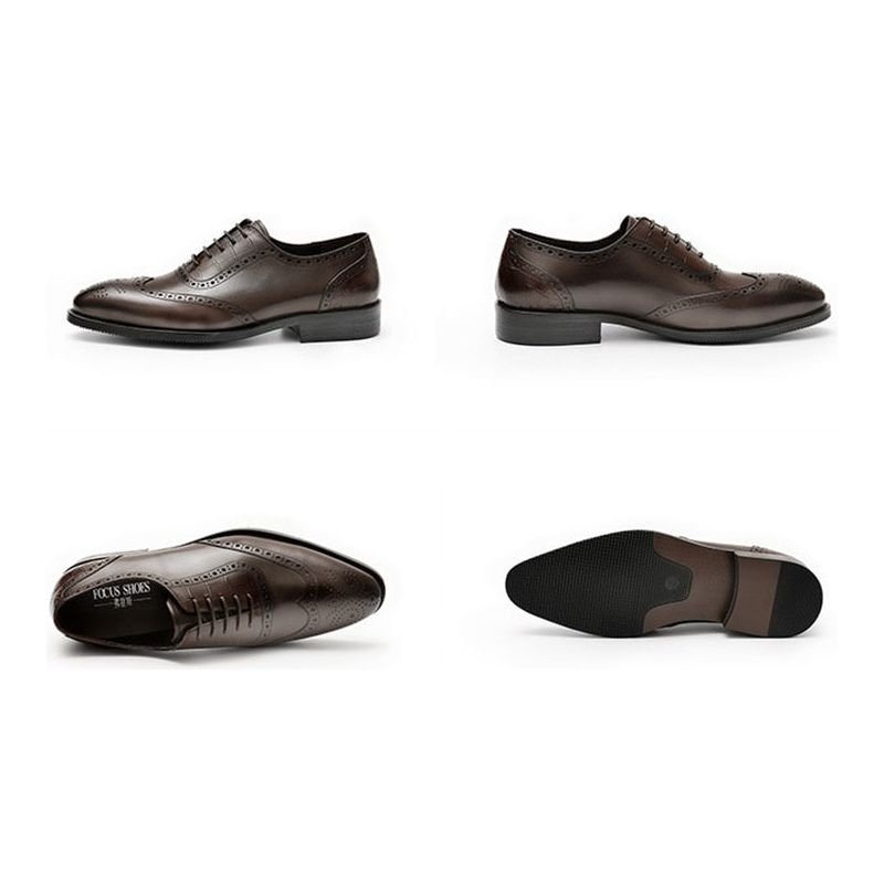 Formele Herenschoenen Brogue-schoenen Met Exotisch Patroon Kant - Koffie