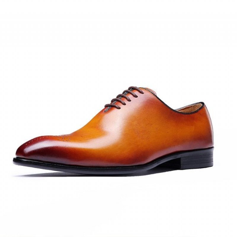 Formele Herenschoenen Brogue-schoenen Met Exotische Stippenstijl - Bruin