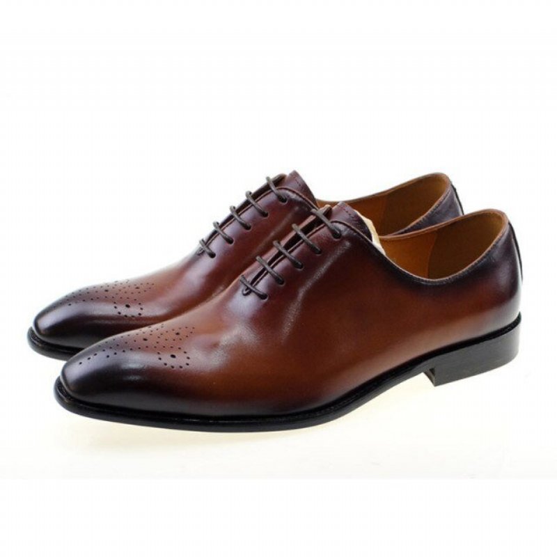 Formele Herenschoenen Brogue-schoenen Met Exotische Stippenstijl - Koffie