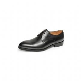 Formele Herenschoenen Bruiloft Luxe Exotisch Leer Puntige Oxfords