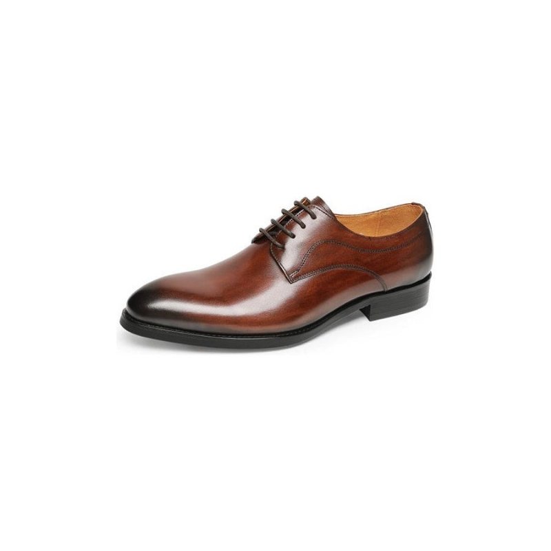 Formele Herenschoenen Bruiloft Luxe Exotisch Leer Puntige Oxfords - Koffie