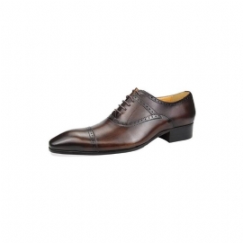 Formele Herenschoenen Deluxe Oxford Lavishhuwelijksbrogues