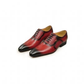 Formele Herenschoenen Echt Leer Elegante Bruiloftsbrogues