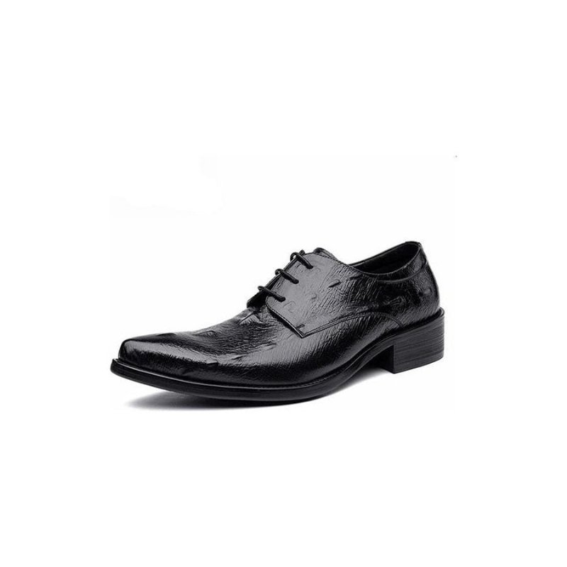 Formele Herenschoenen Executive Oxford-schoenen Met Veters - Zwart