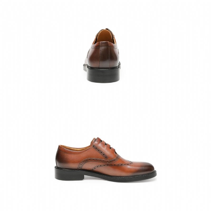 Formele Herenschoenen Exotische Oxford-kledingschoenen - Bruin