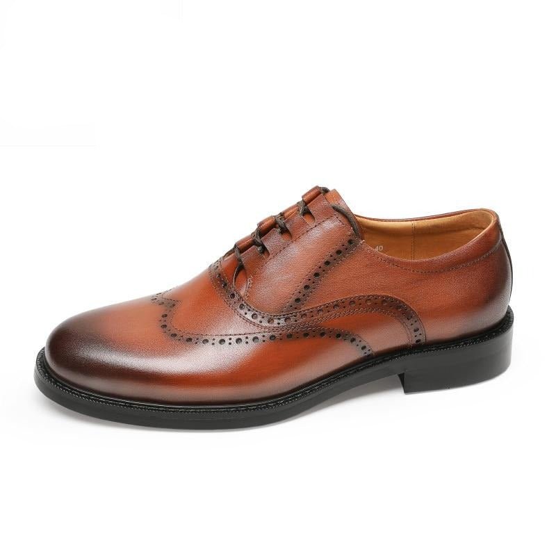 Formele Herenschoenen Exotische Oxford-kledingschoenen - Bruin