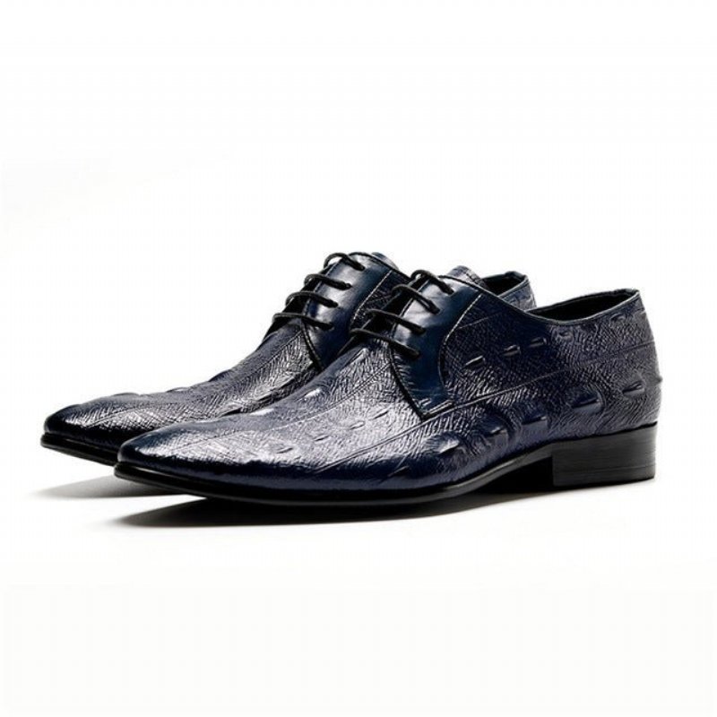 Formele Herenschoenen Exotische Oxford-schoenen Met Veters - Blauw