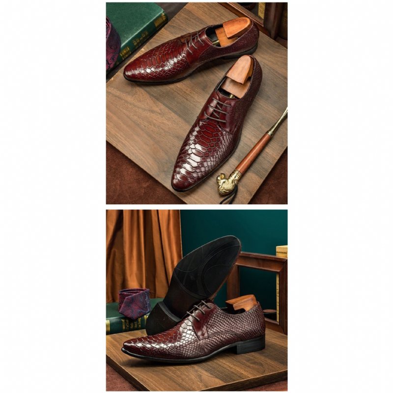 Formele Herenschoenen Exotische Retro Oxford-schoenen Met Veters Vleugeltip - Rood