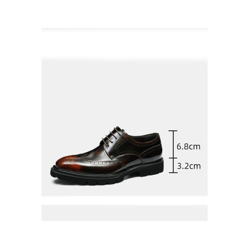 Formele Herenschoenen Luxe Brogue Oxford-schoenen - Koffie