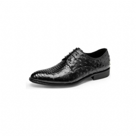 Formele Herenschoenen Luxe Croctex Derbies-kledingschoenen