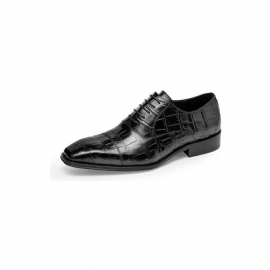 Formele Herenschoenen Luxe Croctex Oxford-schoenen