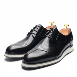 Formele Herenschoenen Luxe Leren Nette Schoenen