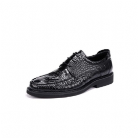 Formele Herenschoenen Met Ronde Neus Alligator Derbyschoenen Veters