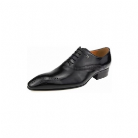 Formele Herenschoenen Modieuze Bruiloftsbrogues