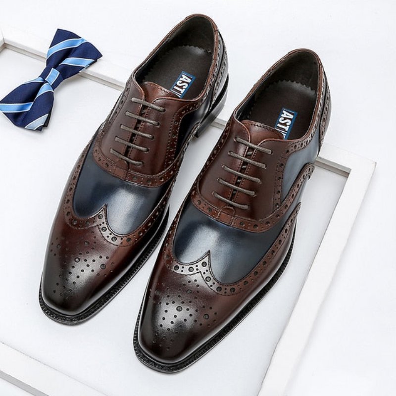 Formele Herenschoenen Oxfords Leer Met Vleugeltip Veters - Blauw