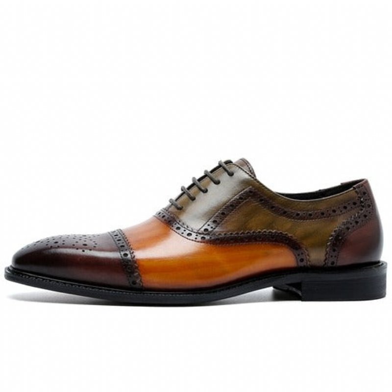 Formele Herenschoenen Oxfords Leer Met Vleugeltip Veters - Koffie