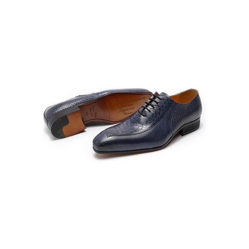 Formele Herenschoenen Prachtige Oxford-schoenen Met Puntige Neus - Blauw