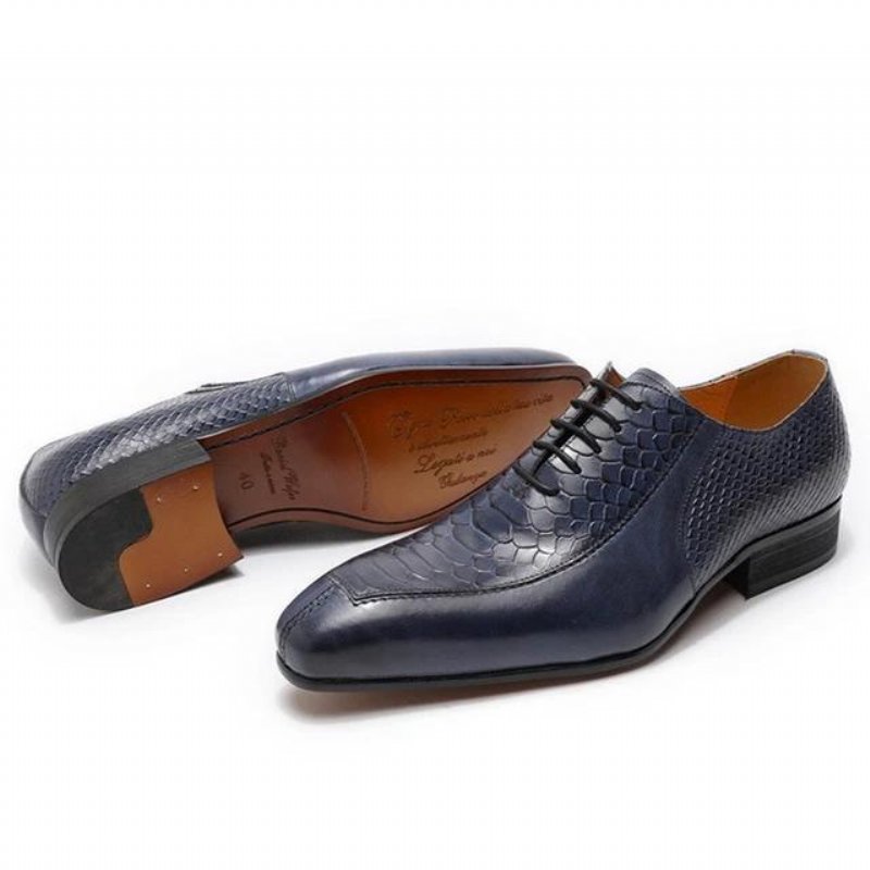 Formele Herenschoenen Prachtige Oxford-schoenen Met Puntige Neus - Blauw