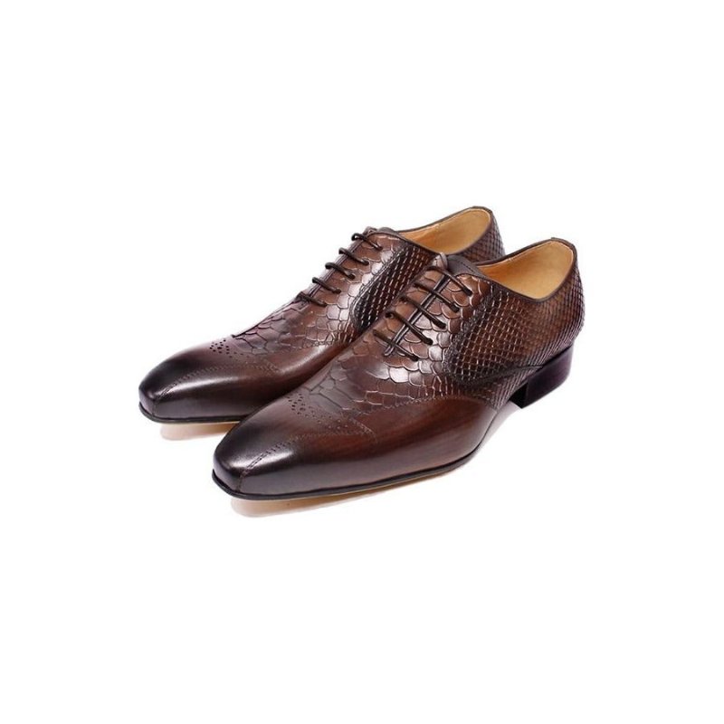 Formele Herenschoenen Slangenleer Elegantie Brogue-schoenen Met Veters - Koffie