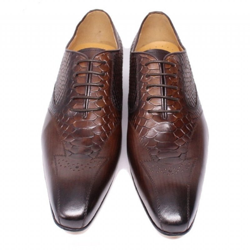 Formele Herenschoenen Slangenleer Elegantie Brogue-schoenen Met Veters - Koffie