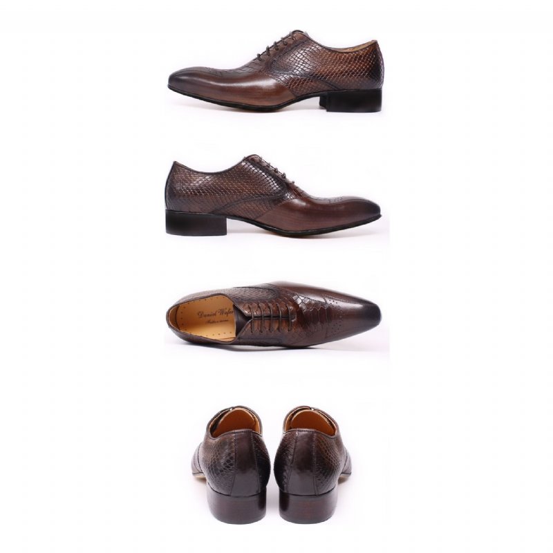 Formele Herenschoenen Slangenleer Elegantie Brogue-schoenen Met Veters - Koffie