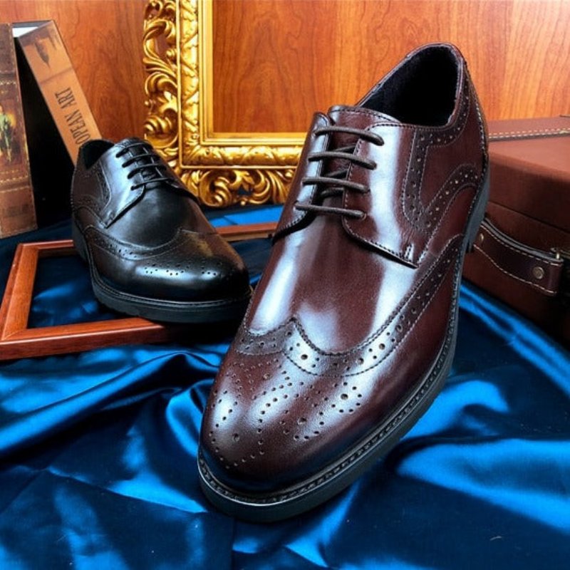 Formele Herenschoenen Wingtip Luxe Exotische Oxford-brogues Met Puntige Neus - Zwart