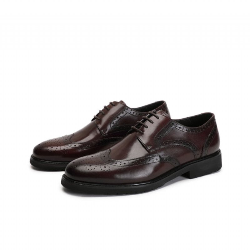 Formele Herenschoenen Wingtip Luxe Exotische Oxford-brogues Met Puntige Neus - Koffie