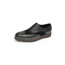 Formele Schoenen Heren Alligator Luxe Vleugeltip Brogue-casual