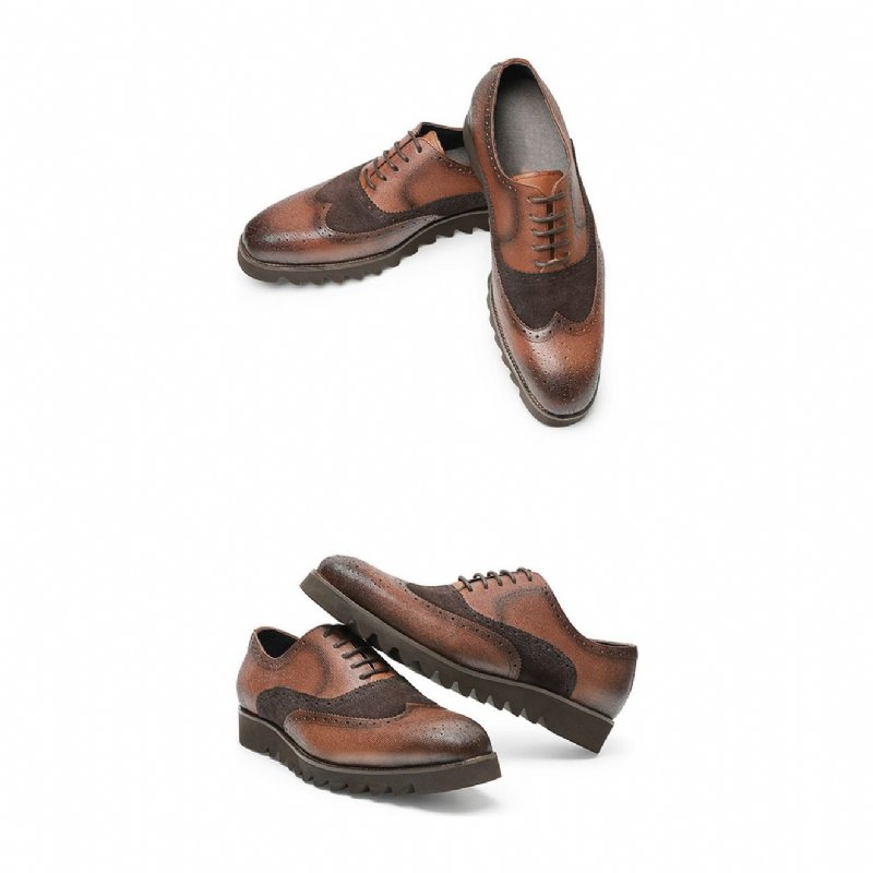 Formele Schoenen Heren Alligator Luxe Vleugeltip Brogue-casual - Koffie