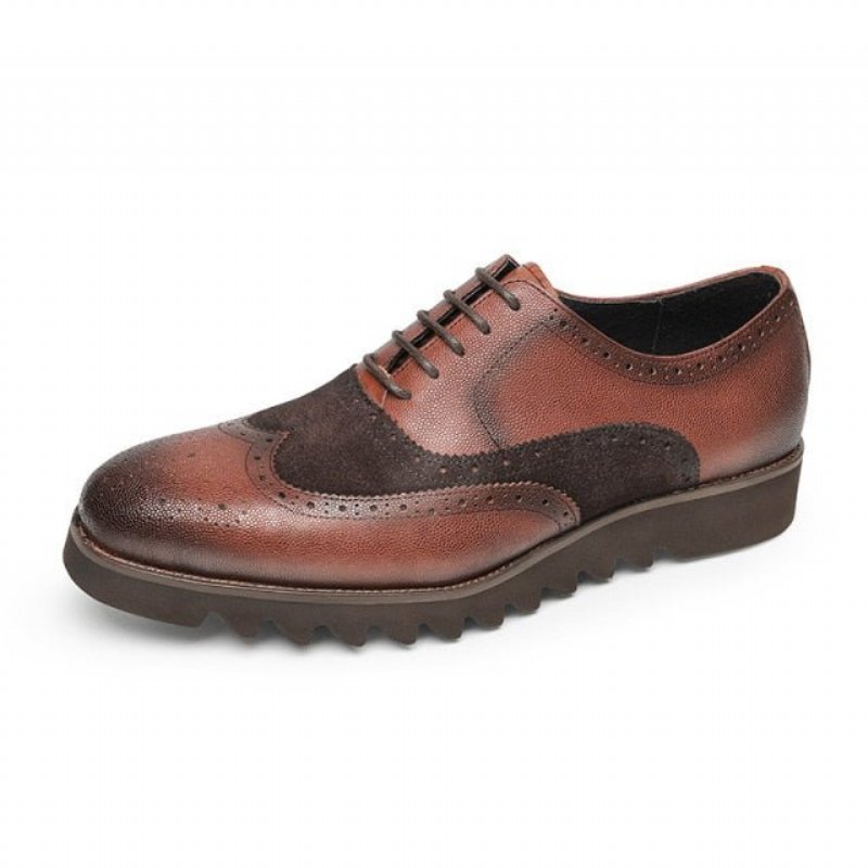 Formele Schoenen Heren Alligator Luxe Vleugeltip Brogue-casual - Koffie