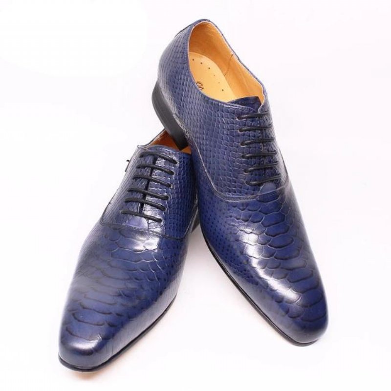 Formele Schoenen Heren Bordeauxrode Serpent Oxford-schoenen Met Veters - Blauw