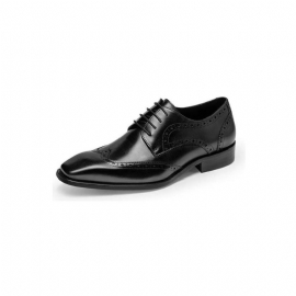 Formele Schoenen Heren Brogue-schoenen