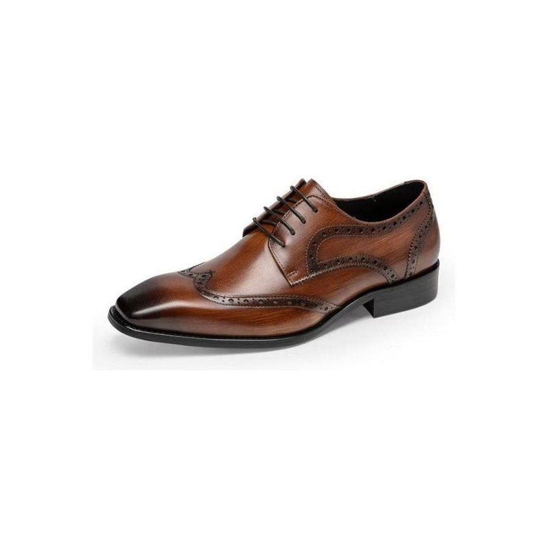 Formele Schoenen Heren Brogue-schoenen - Koffie