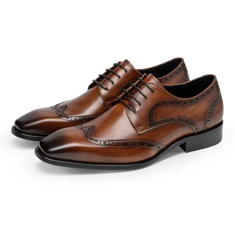 Formele Schoenen Heren Brogue-schoenen - Koffie