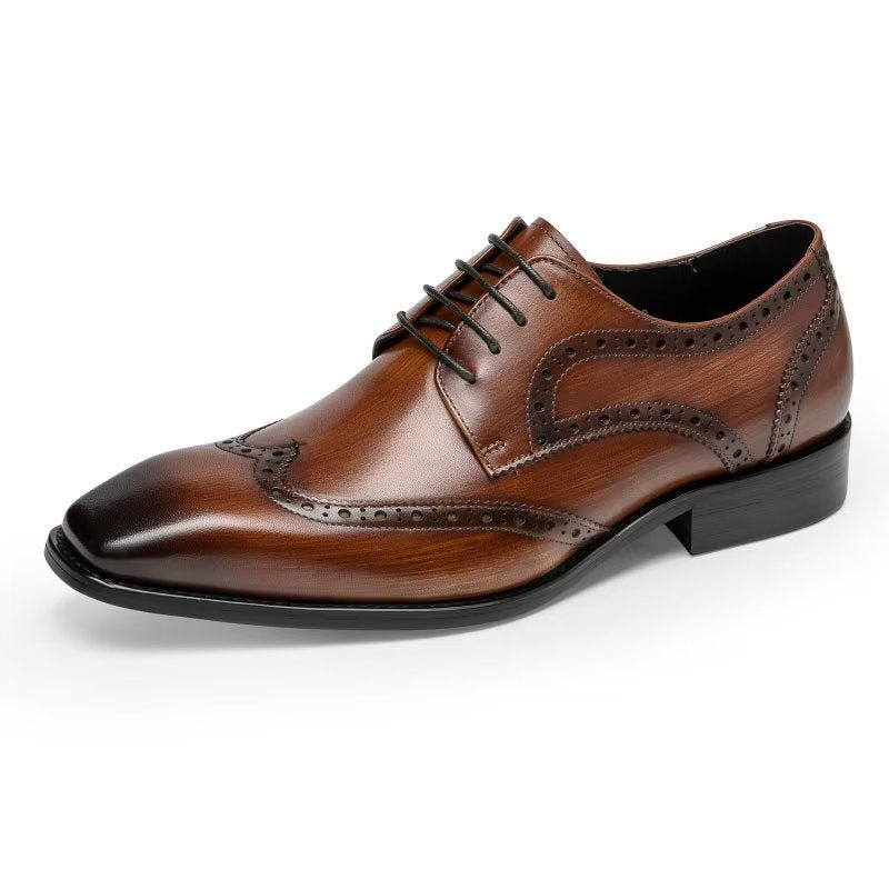 Formele Schoenen Heren Brogue-schoenen - Koffie