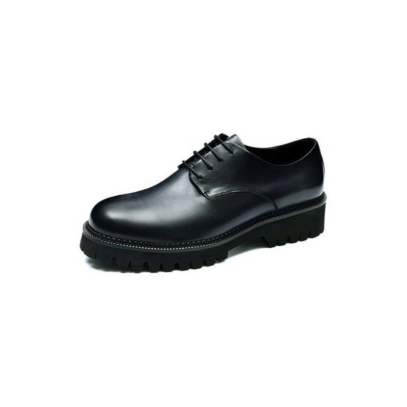 Formele Schoenen Heren Brogues Met Veters Rundleer