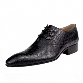 Formele Schoenen Heren Bruiloftsbrogues