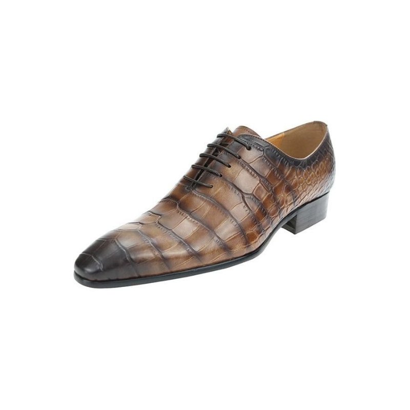 Formele Schoenen Heren Chique Oxford-schoenen Met Puntige Neus Krokodillenprint - Koffie