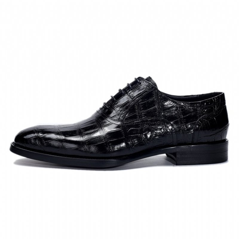 Formele Schoenen Heren Crocdress Luxe Oxford-schoenen Met Krokodillenpatroon - Zwart