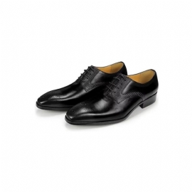 Formele Schoenen Heren Elegante Bruiloftsbrogues