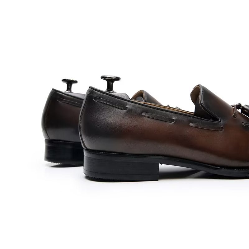 Formele Schoenen Heren Elegante Leren Oxford-schoenen Met Kwastjes Broguestijl - Koffie