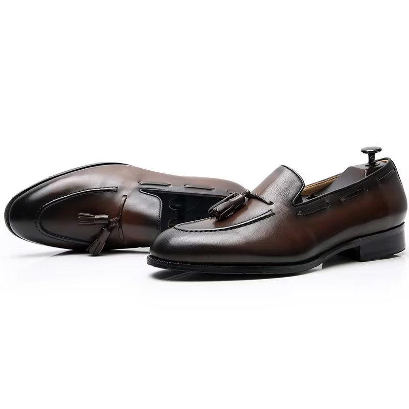 Formele Schoenen Heren Elegante Leren Oxford-schoenen Met Kwastjes Broguestijl - Koffie