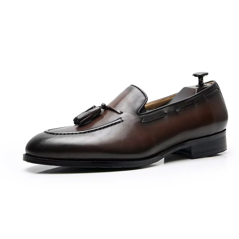 Formele Schoenen Heren Elegante Leren Oxford-schoenen Met Kwastjes Broguestijl - Koffie