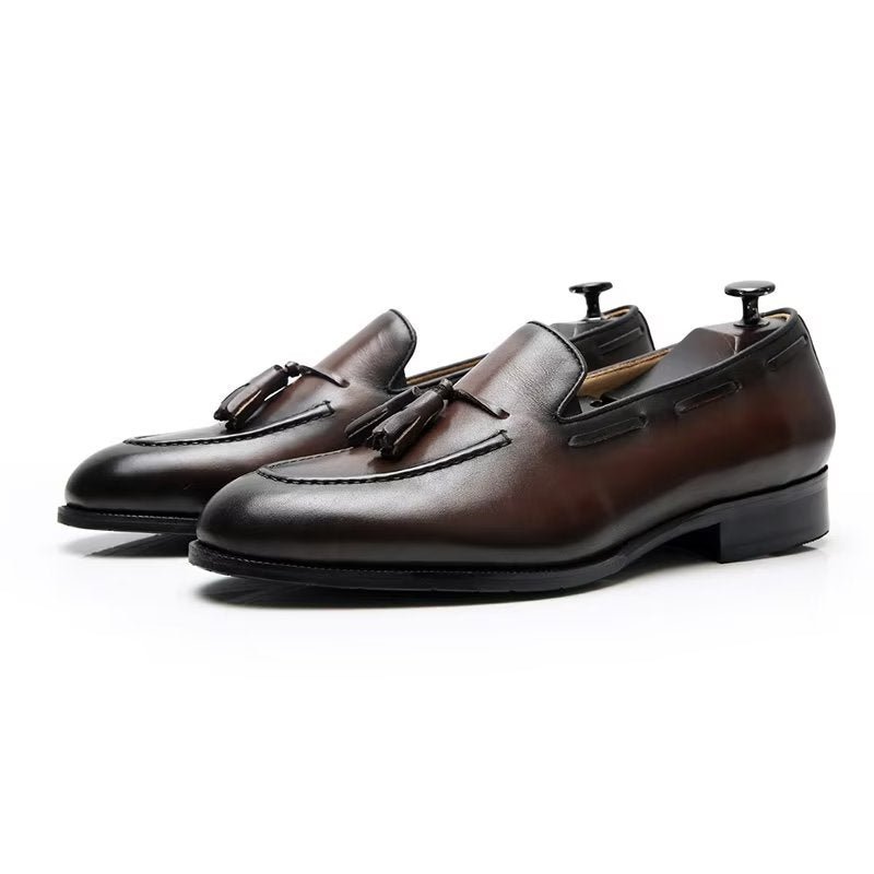 Formele Schoenen Heren Elegante Leren Oxford-schoenen Met Kwastjes Broguestijl - Koffie