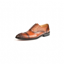 Formele Schoenen Heren Elegante Oxford-schoenen Met Krokodillentextuur